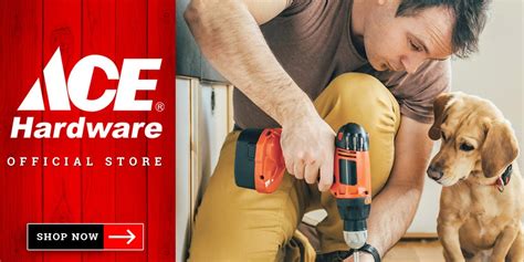 ace hardware philippines online